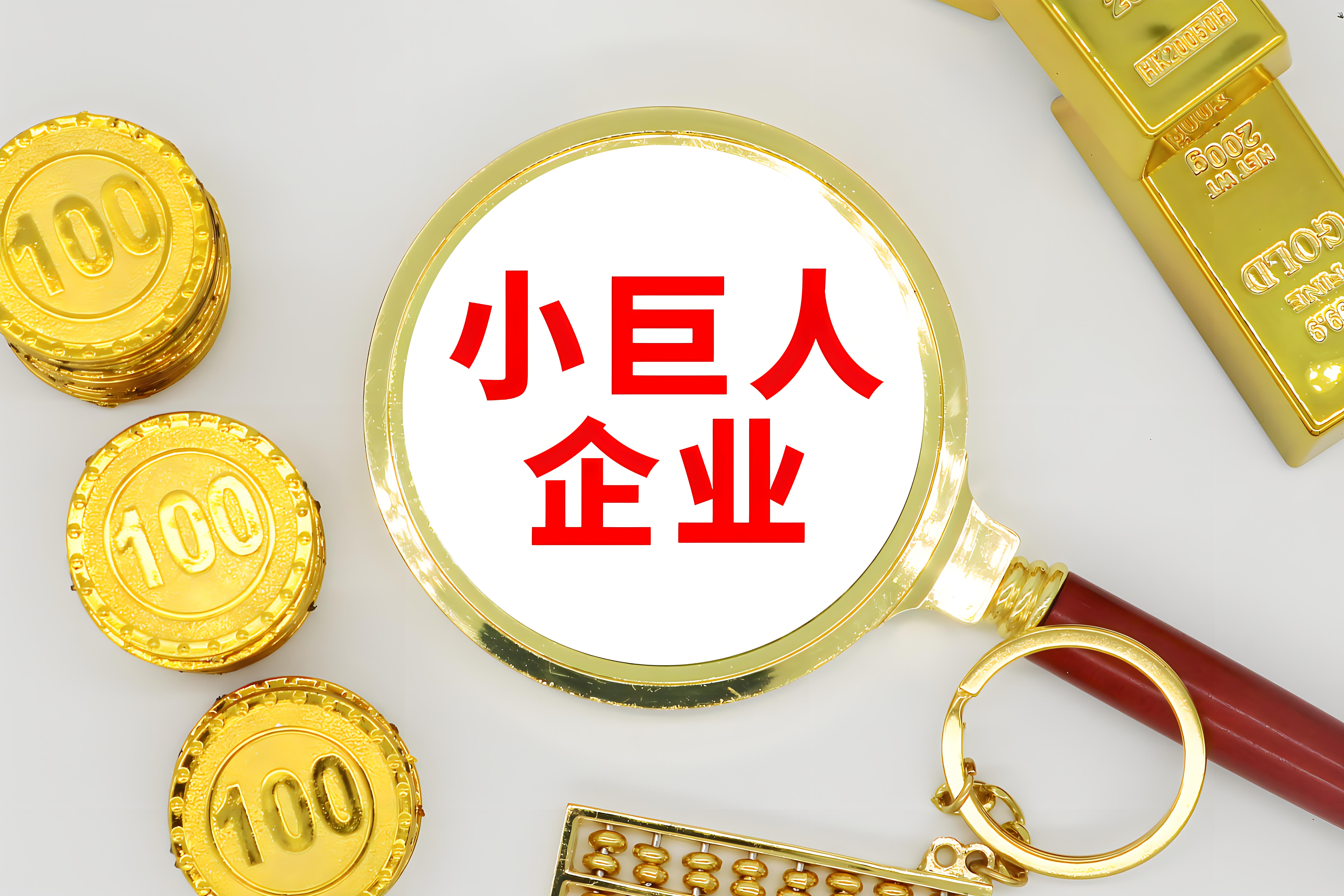 小巨人(rén)企業：大(dà)夢想，大(dà)未來(lái)